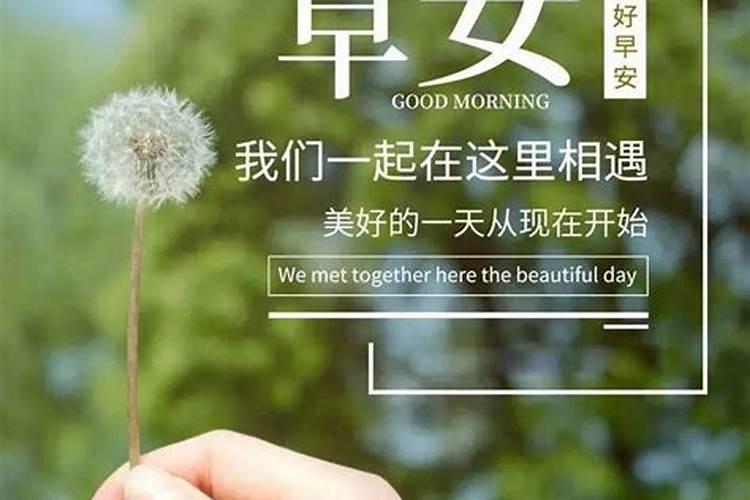1986年阴历10月1的命
