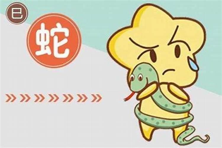 属蛇人农历五月、六月、七月的运势