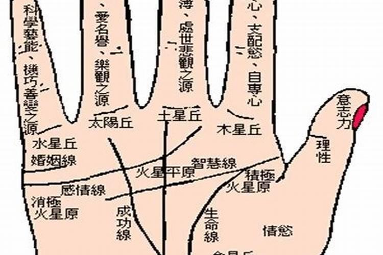 测一测婚姻有外遇吗