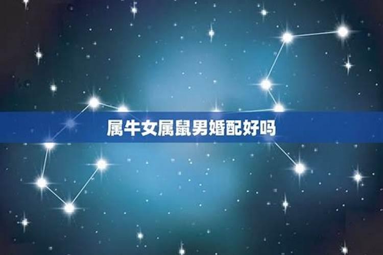 男属鼠与女属牛能相配吗,属鼠女和属牛男的婚姻相配吗