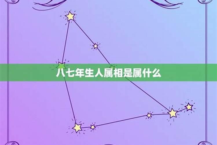 1987年属兔人2025年全年运势