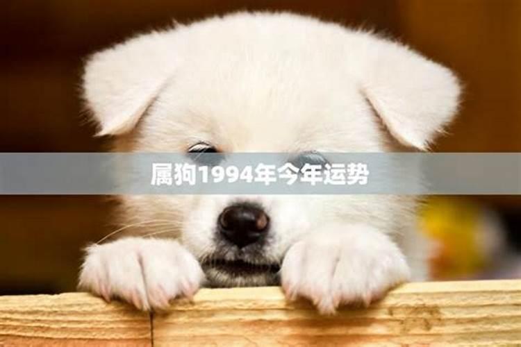 女命八字怎么看婚姻 命运如何？
