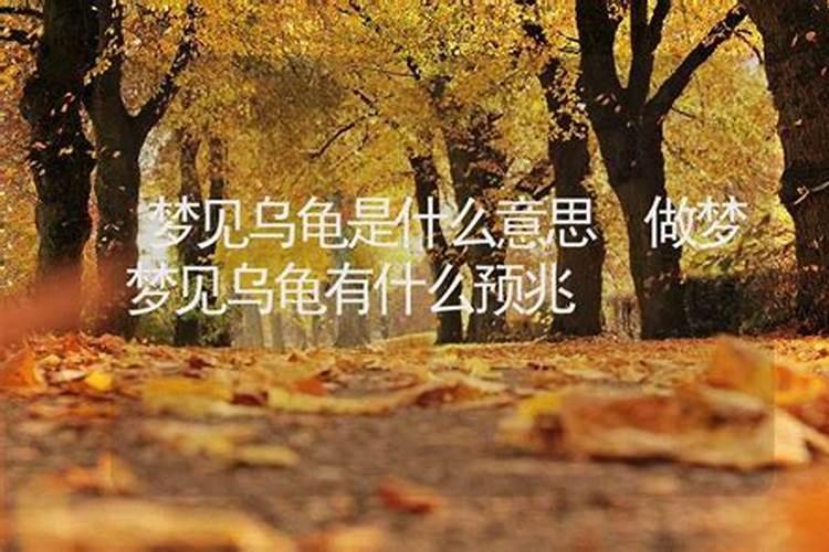 属兔人兔年本命年戴小兔饰品吉利吗？