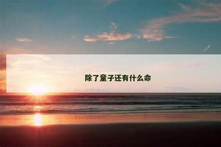 属兔本命年可以戴兔吗 有哪些说法？