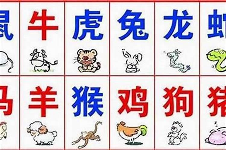 夫妻看八字几个字最好 匹配四柱分析婚配