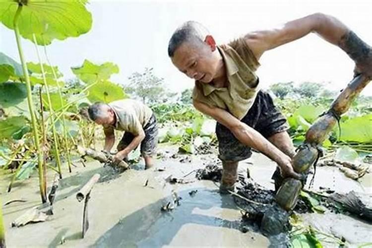 哪些胎梦预示将要怀孕梦见自己生孩子