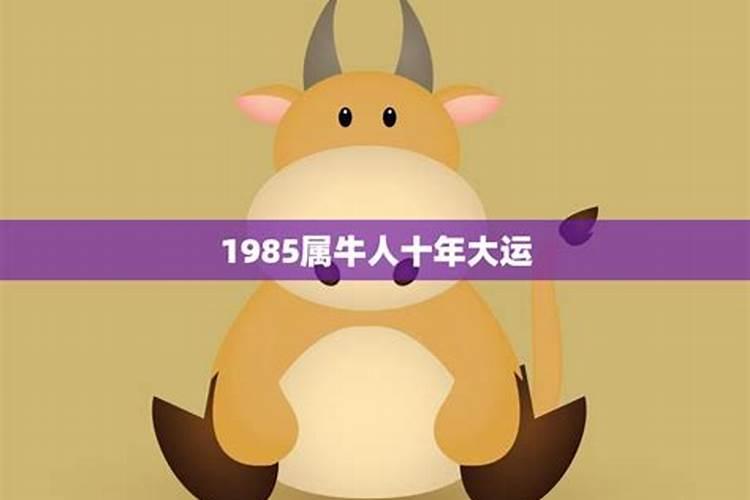 1973年属牛的是什么命未来十年运程？