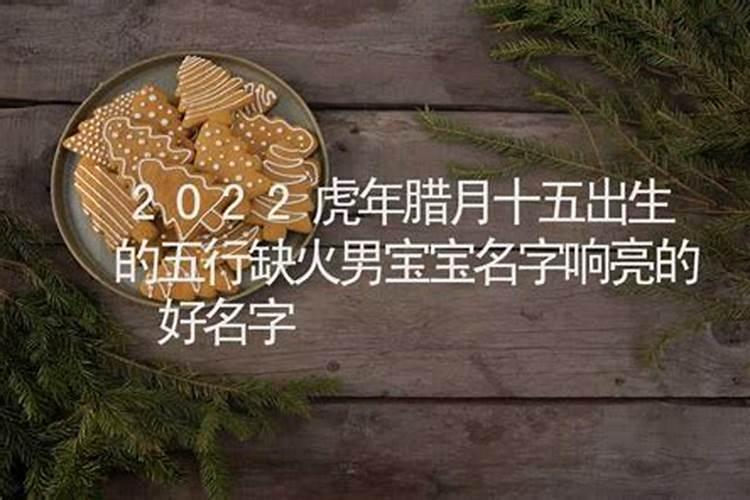 属马的今年运气