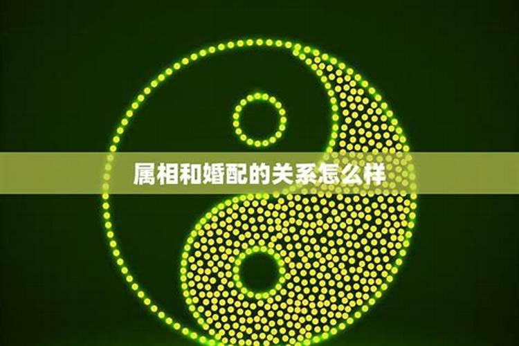 婚配看年份还是看月份,属相配偶是看年号还是看生的时候