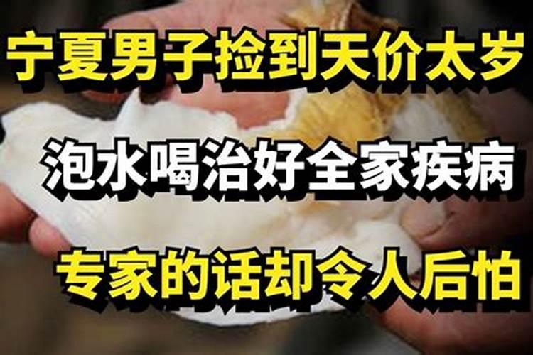 如何食用太岁