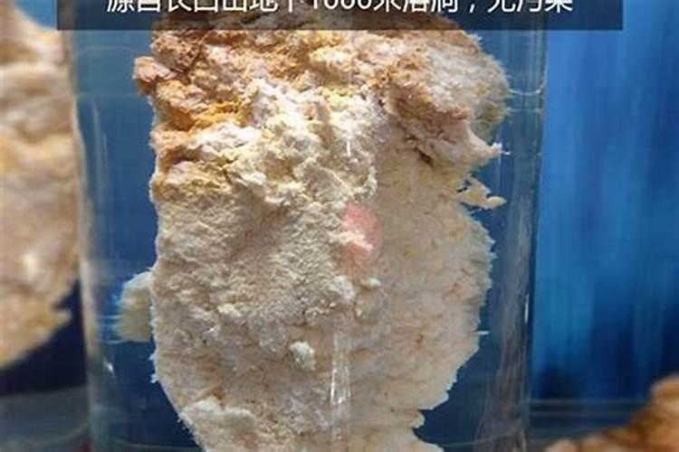 清明节是几月几日