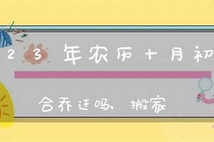梦见项链坠子掉了有什么预兆？是什么意思？