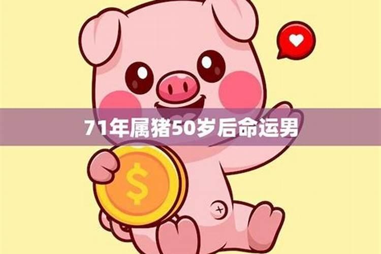 我属猪,73年的,今年多少周岁