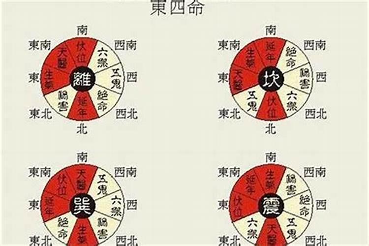 什么是东四命和西四命
