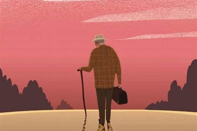 属狗的虎年运势如何