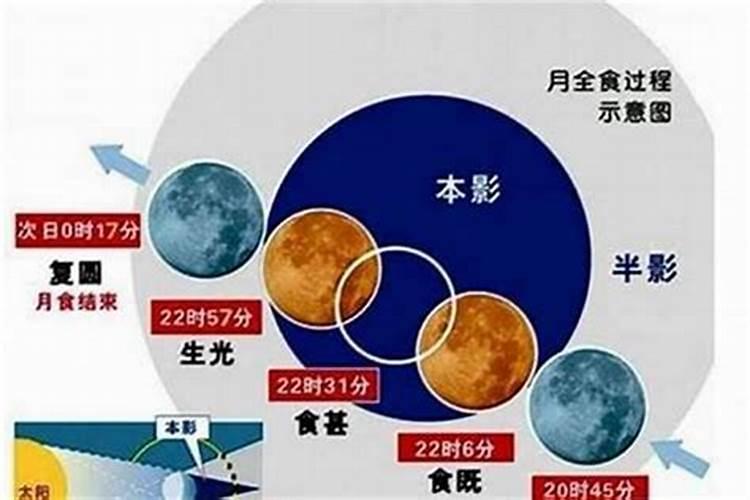 2025年属兔人的爱情运势