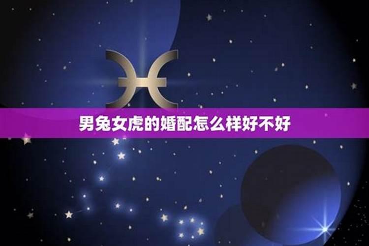 女属虎和男属兔的婚姻好吗(女属虎和男属兔的人合不合)