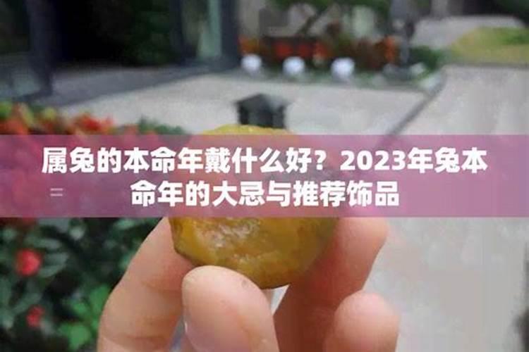 2025年及以后犯太岁的属相