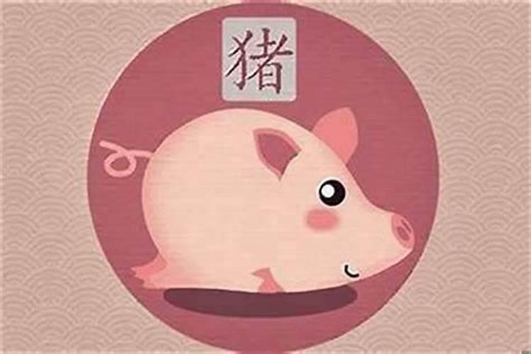 属猪人2024运势及运程完整版 属猪2024年运势及每月运程详解