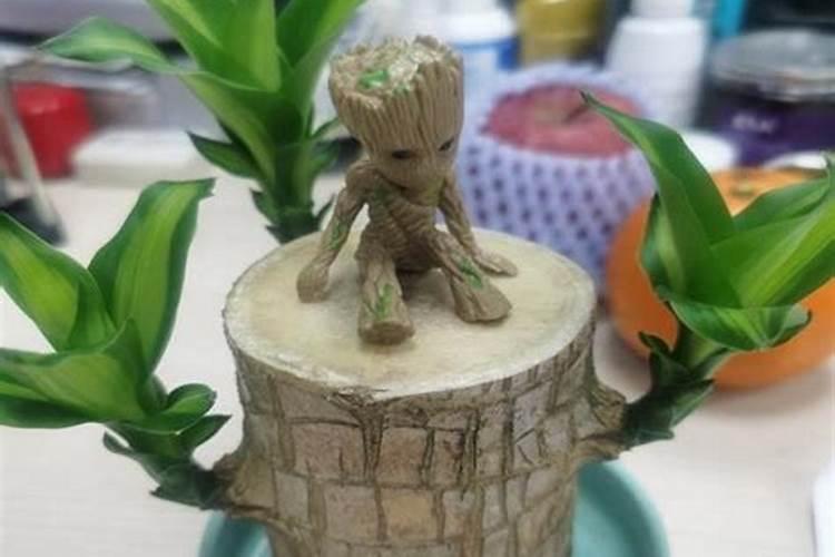 为什么癸卯日婚姻不好 癸卯日柱命中注定的配偶？