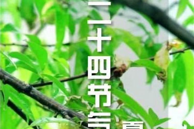 夏至节气的介绍 夏至的由来和含义