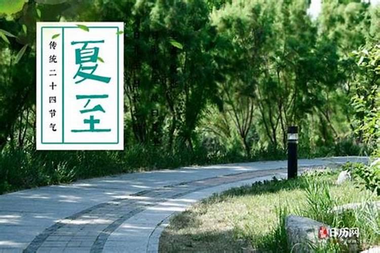 夏至是2024的几月几日几点 夏至是入伏的第一天吗
