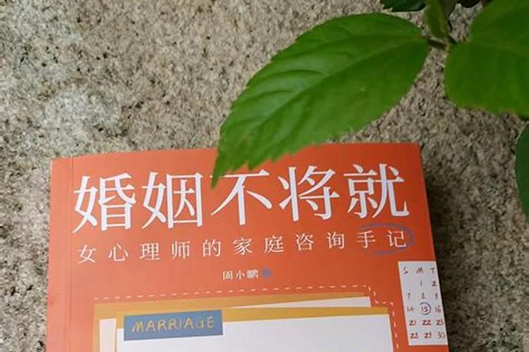 属蛇的什么月份出世好 属蛇的几月出生好命运如何