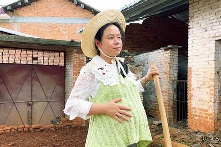 1997属牛2025年运势运程如何