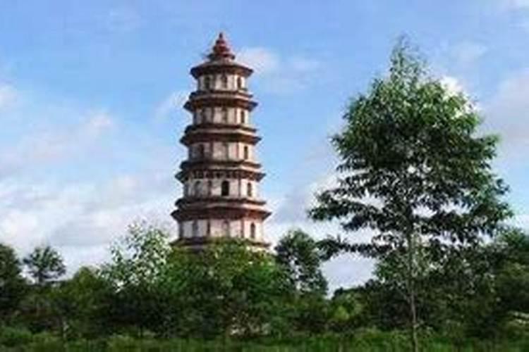 70年属狗51岁后命运,70年属狗50岁至60岁财运
