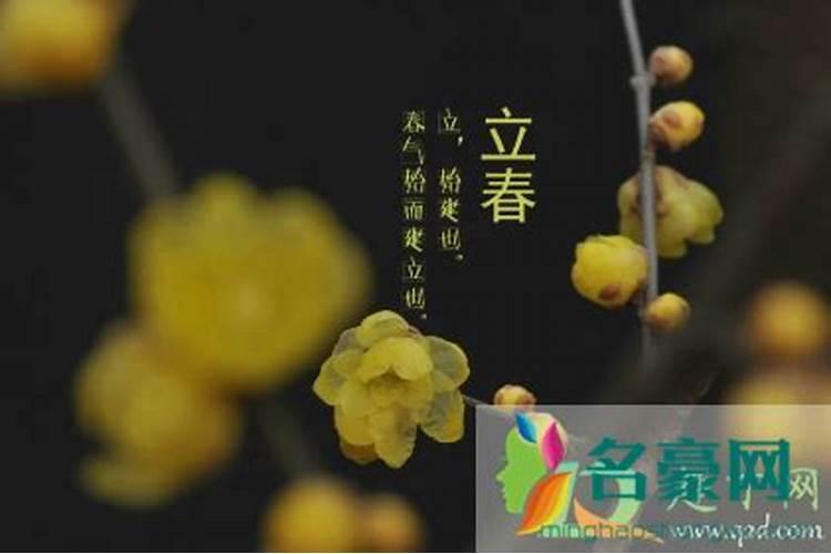 24年立春几时开始几时结束