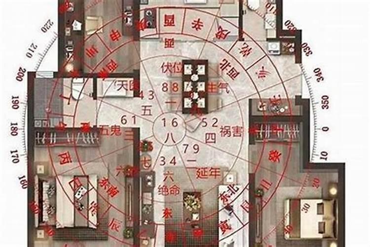 此八字遇到什么大运是最好的最厉害的,求大师看看,别的不看