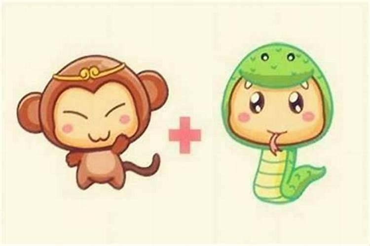 属猴的不能和什么属相在一起属猴的属相婚配宜忌
