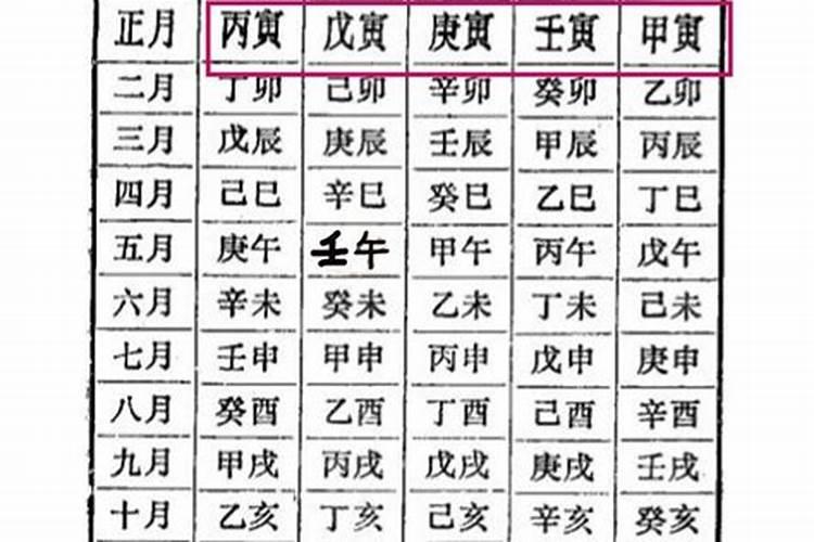 壬戌年,庚戌月,辛未日,己亥时生的命运如何