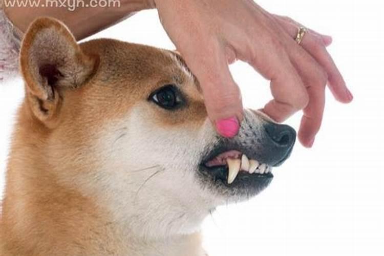 怎么样查童子命