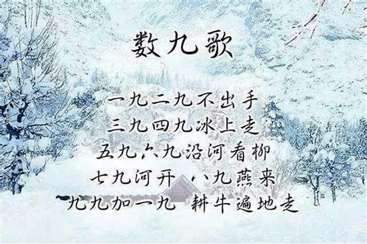 属狗人2025年全年运势运程免费 属狗2025年每月运势及运程详解