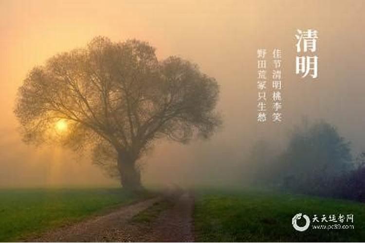 揭秘上坟烧纸起火暗示什么