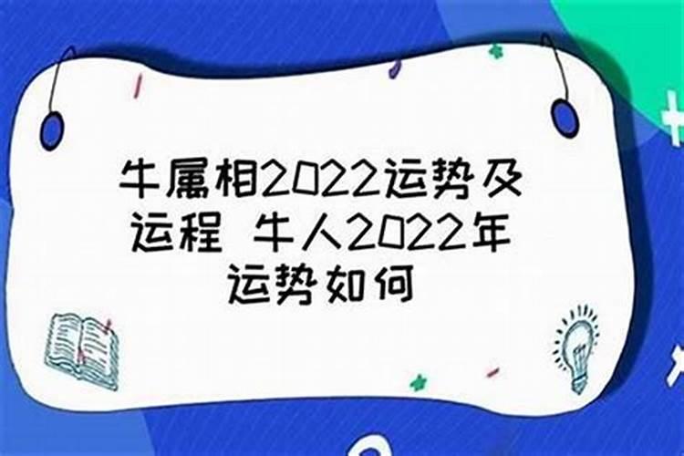 命理学中异性干支生克路线对命主的影响都有哪些