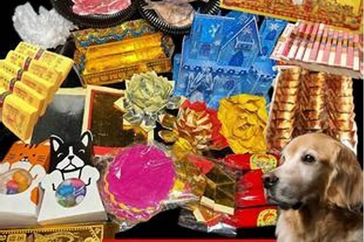 鬼节 狗狗被吓到了 着急 高分求助