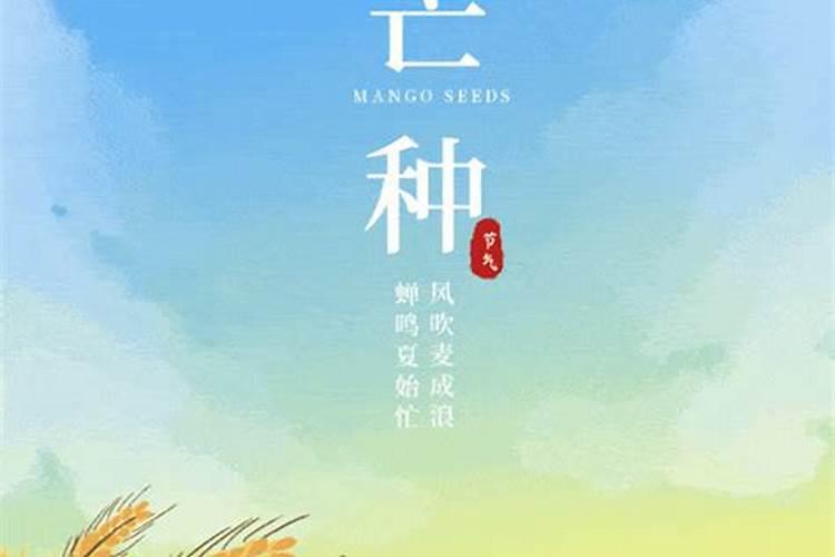 老实人怎么反击小人