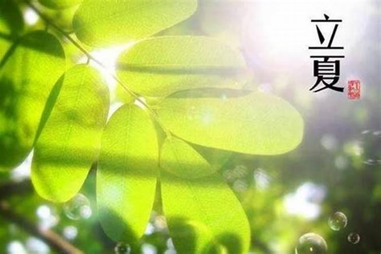 老实人怎么反击小人