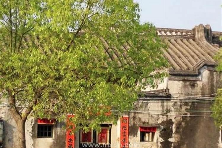 梦见老婆从老家回来了的预兆