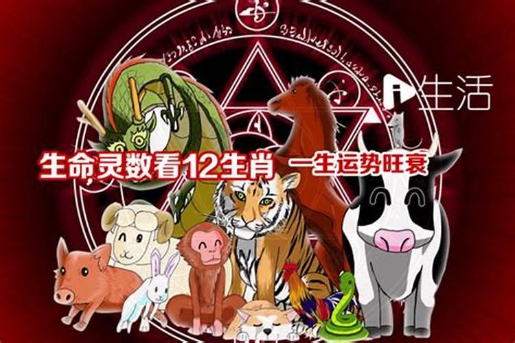 元宵节有什么花灯的名字吗