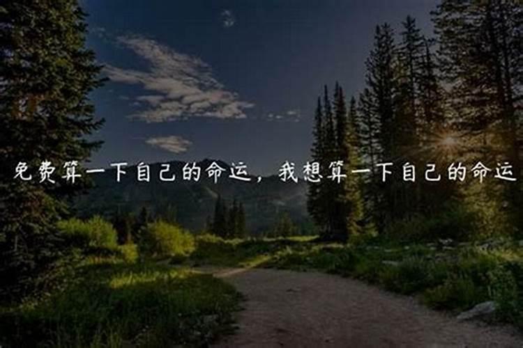 请大师帮我算一下我一生的命运