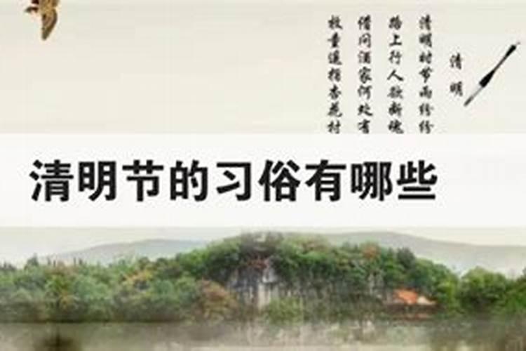 属马的哪些年份犯太岁 属马人今年怎么化解太岁