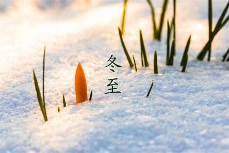 63年11月28日出生的是什么星座