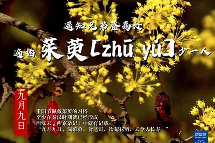 女人八字纯阴会婚姻不顺吗夫妻感情维持困难？