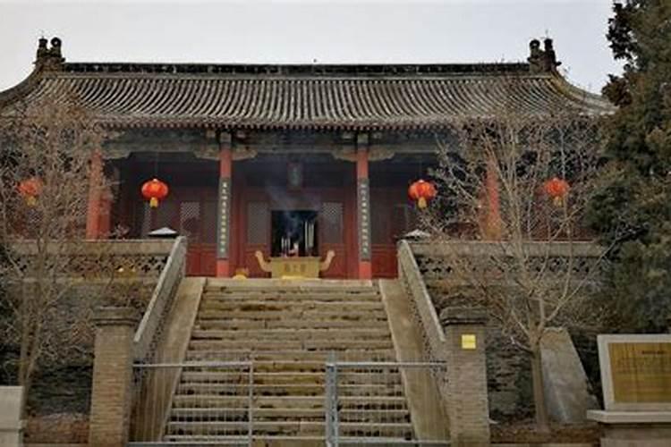 属猪的人哪个月份出生的命运最好