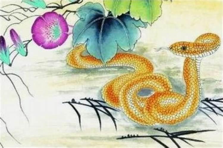 生肖蛇1953年2025年运势如何 生肖蛇1953年2025年全年运势