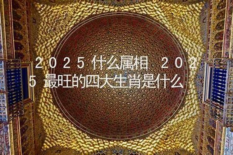 2025属龙犯太岁吗