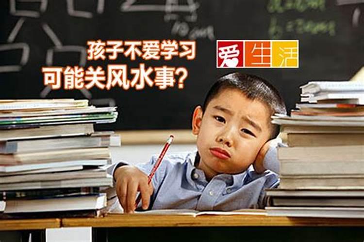 梦见老公的姐姐是什么意思